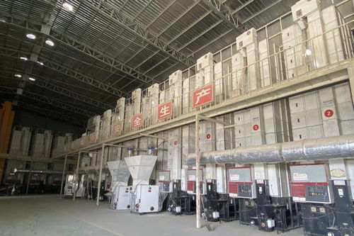 東白農(nóng)產(chǎn)品品牌建設(shè)與市政發(fā)展雙輪驅(qū)動(dòng) 產(chǎn)業(yè)基地匯聚62家企業(yè)展新貌